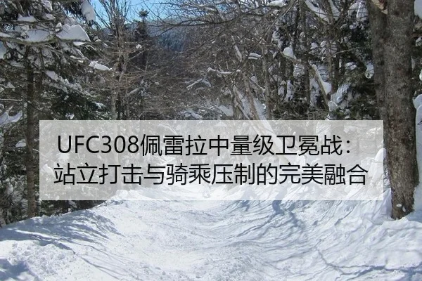 UFC308佩雷拉中量级卫冕战：站立打击与骑乘压制的完美融合