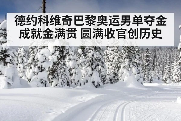 德约科维奇巴黎奥运男单夺金成就金满贯 圆满收官创历史