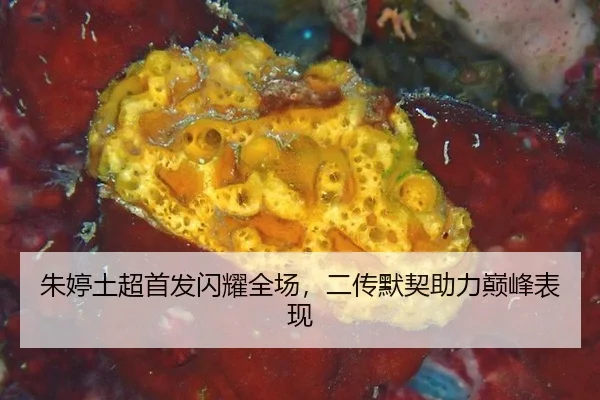zhu-ting-tu-chao-shou-fa-shan-yao-quan-chang-er-chuan-mo-qi-zhu-li-dian-feng-biao-xian-2-373.jpg