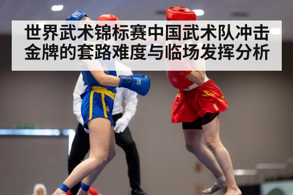 世界武术锦标赛中国武术队冲击金牌的套路难度与临场发挥分析
